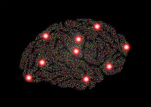 Brain with lots of neural connections